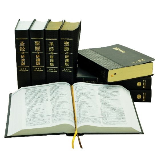 研讀版聖經──新譯本：宗教改革五百週年紀念版：黑色仿皮白邊（簡體．神字版）
