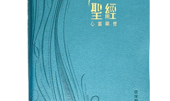 《心靈關懷聖經》的目標